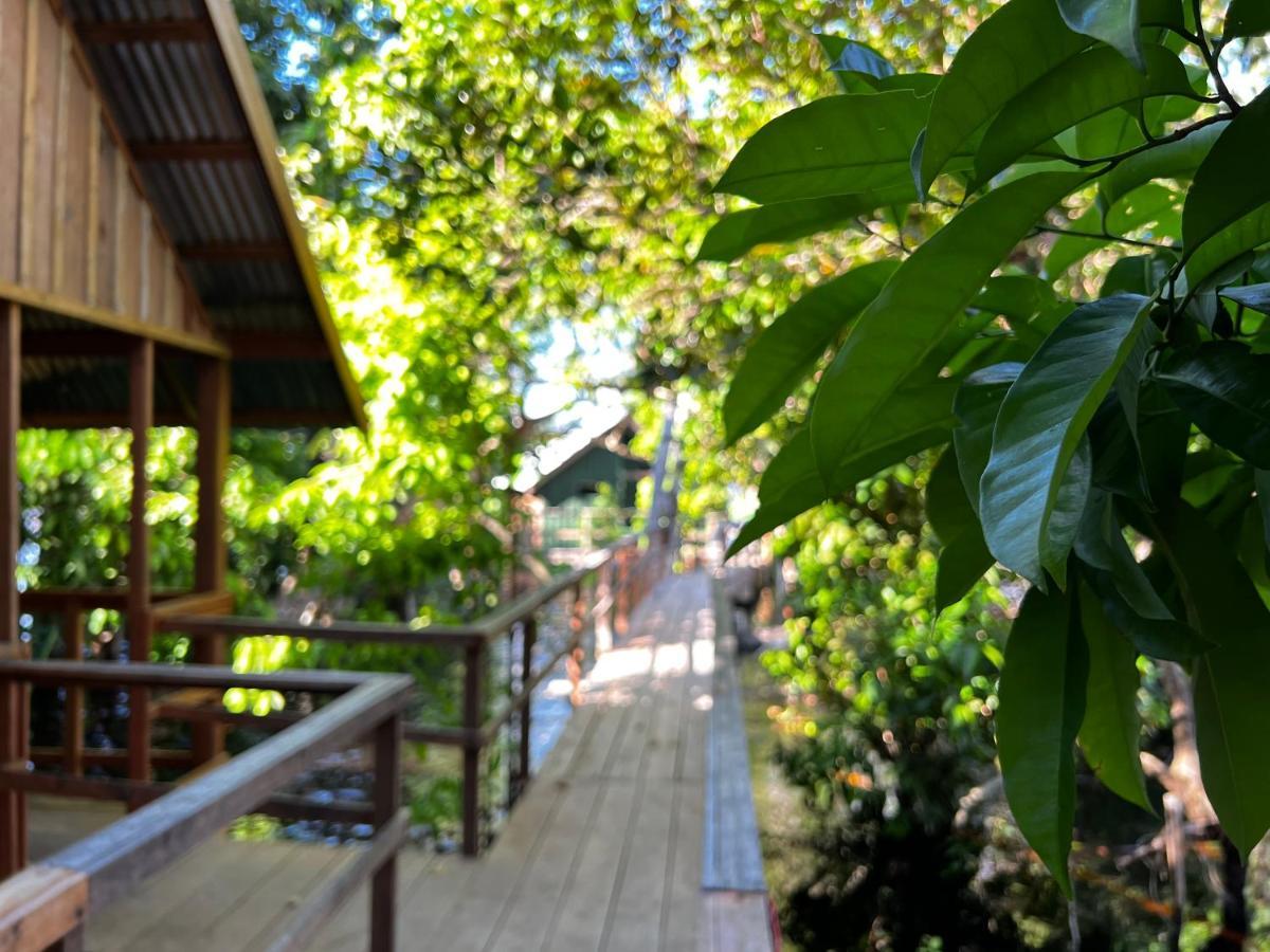 Amazonia Lodge Exxperience Paricatuba Exteriör bild
