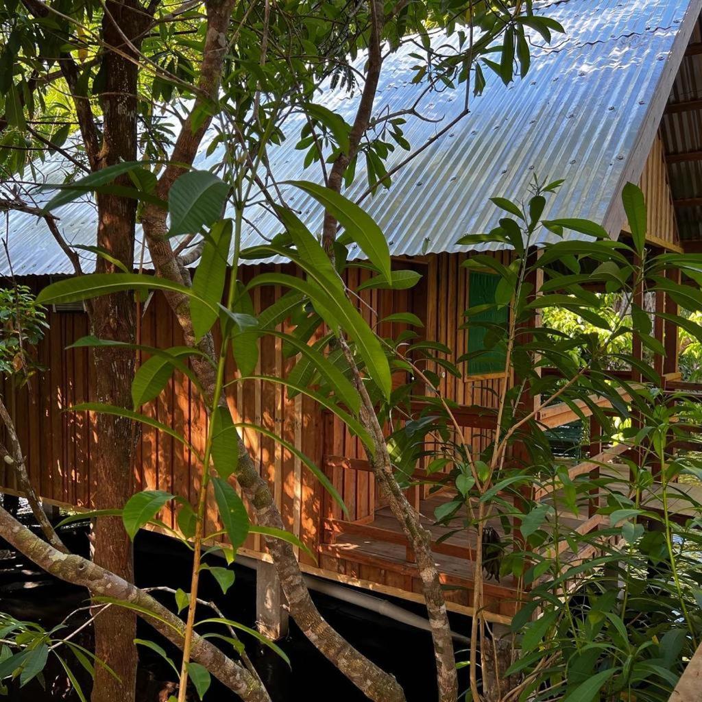 Amazonia Lodge Exxperience Paricatuba Exteriör bild